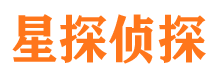 大新侦探